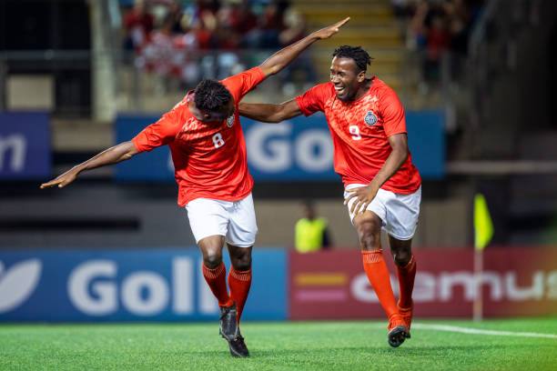 温暖的绿洲 温暖的绿洲