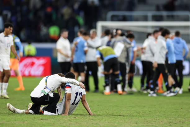 着布鲁诺 着布鲁诺