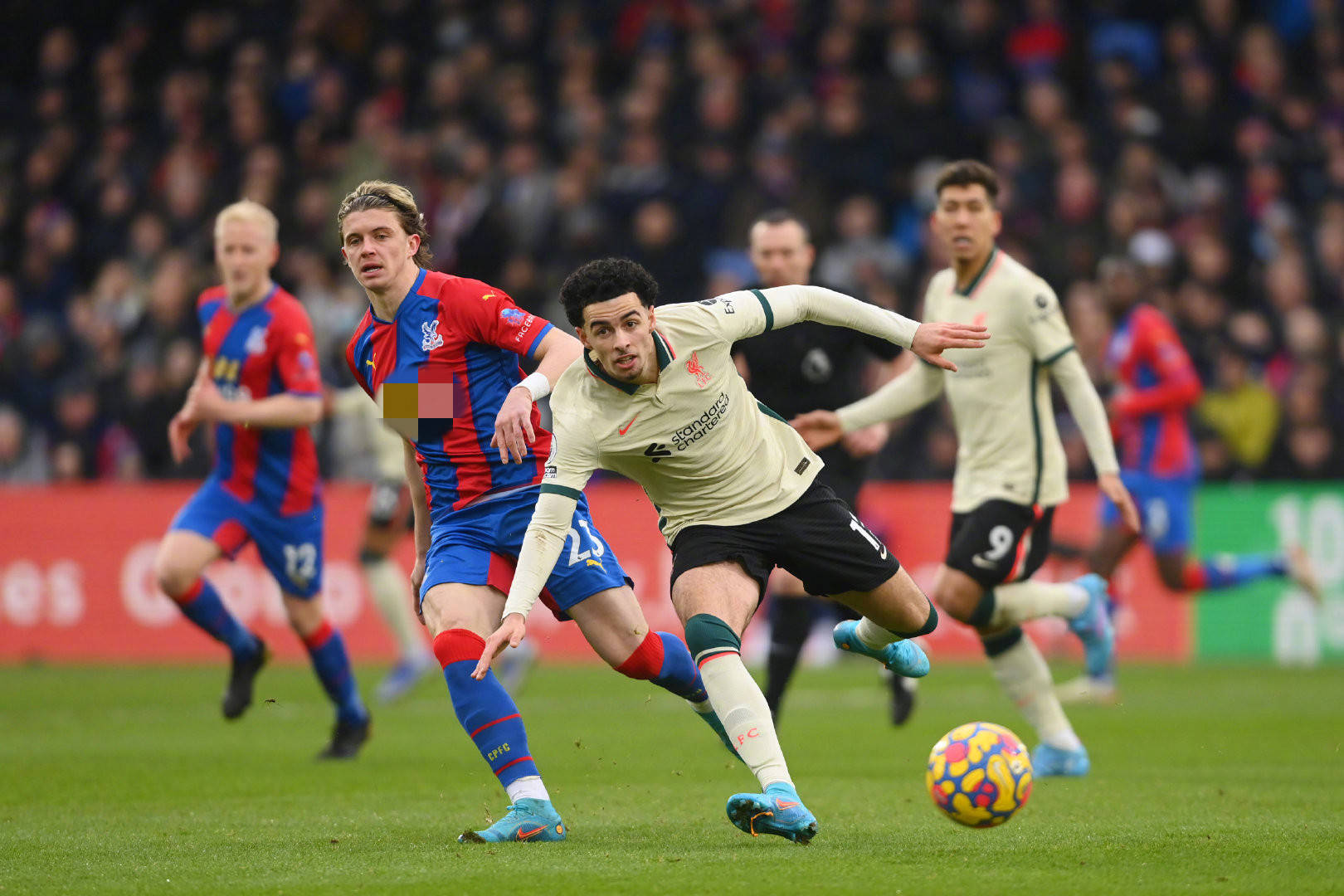 还包括他们 还包括他们