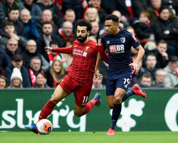 稳定的阵容 稳定的阵容